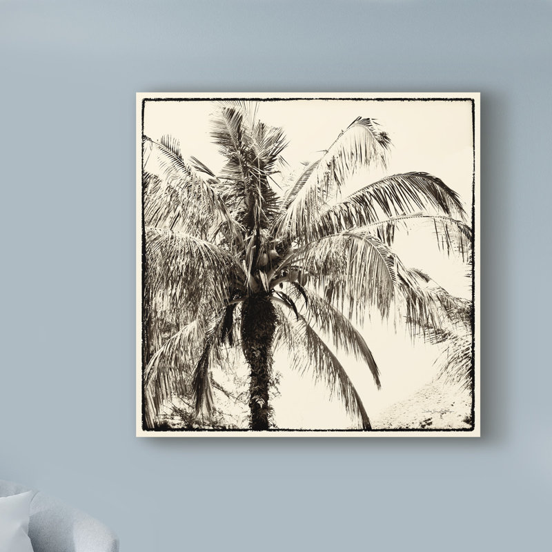 « palm tree sépia iii », reproduction d’impression sur toile tendue, H 14 po x l 14 po x P 2 po