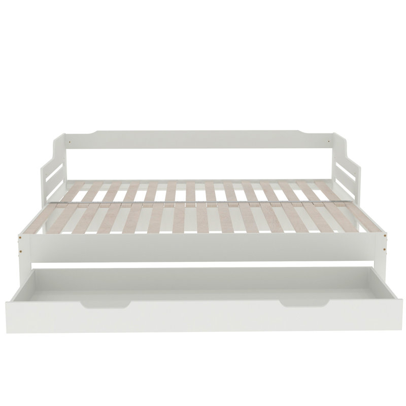 Delby Single Solid Wood Daybed with Trundle