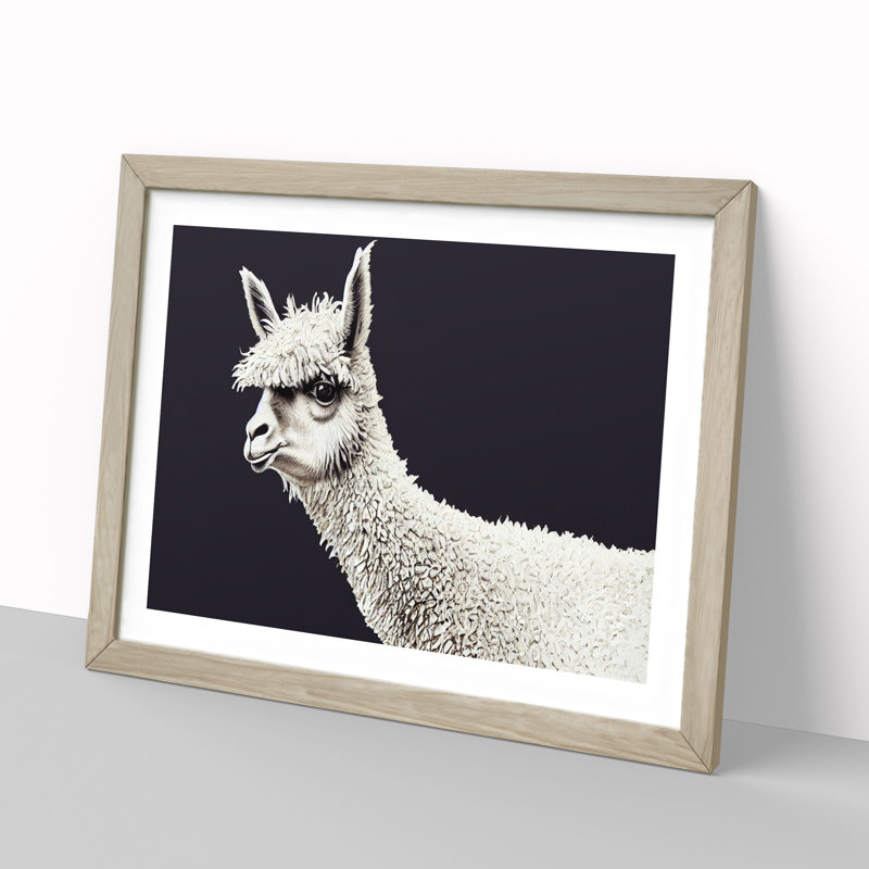 Portrait of a Llama - Framed Print