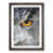 Walnut Framed