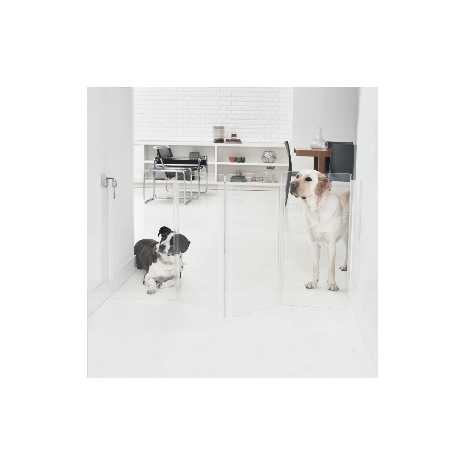 Tall Zig Zag Wall Mounted Clear Pet Gate , 4 Panel, Silver