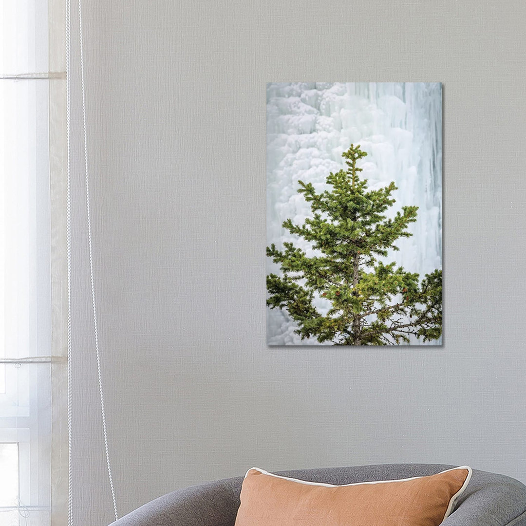 Pine at the Frozen Waterfall by Nik Rave - Wrapped Canvas Giclée