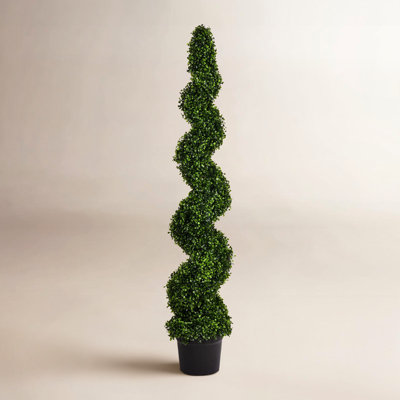 72" Boxwood Topiary in Pot