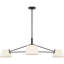 Raquelle Richard June Transitional Hale Chandelier-1080396178-1080396179