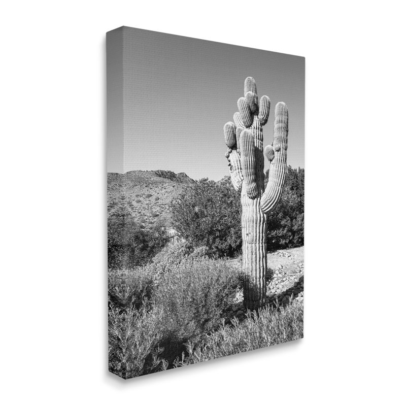 «Thick Desert Cactus Black White Canyon Landscape» par Bill Carson, photographie, H 40 po x l 30 po, Toile tendue