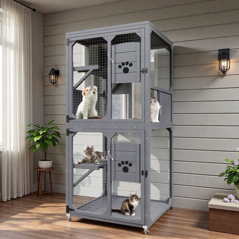 Fenêtre pour chat Catio