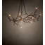 Winter Solstice 11 - Light Chandelier