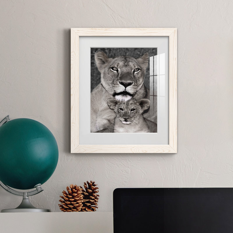 Lionne and Cub - Photographie avec cadre photo, Cadre blanc, H 24 po x l 18 po x P 1,5 po