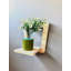 Locelso Wood Floating Shelf