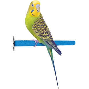 Perchoir à oiseaux 7 "en ciment - coupe naturellement les clous et le bec - pour cage à oiseaux