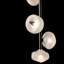 Ume 4 - Light Cluster Novelty Pendant-78676440-78676445