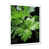 Cadre simple blanc