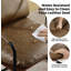Adayah 65cm Wide Tufted Armchair-1820090681