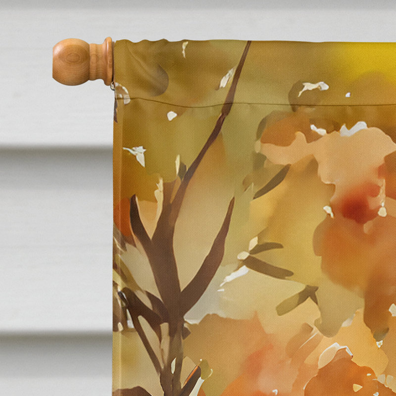 Drapeau de maison en polyester à double face H 40 po x l 28 po