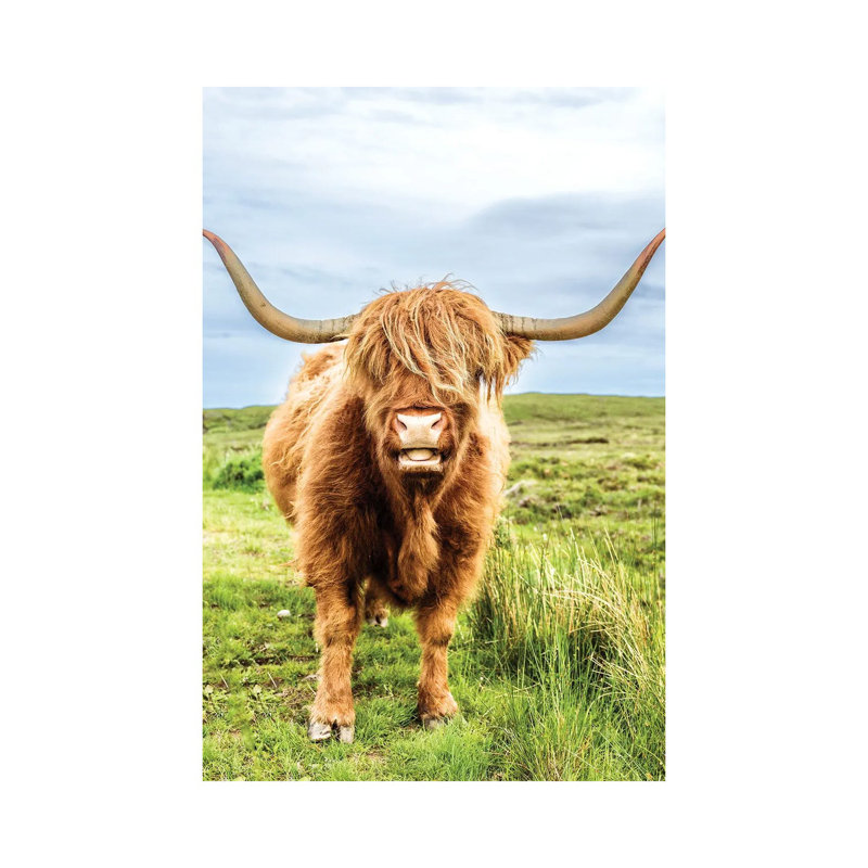 «Fluffy Baby Highland Cow», Écosse, H 18 po x l 12 po x 1,5 po