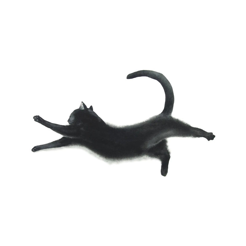 «Yoga Black Cat I» par Alexey Dmitetchich Shmyrov - peinture sur toile tendue, H 18 po x l 26 po x P 1,5 po