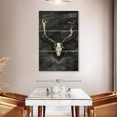 Kerner Trophy Deer Skull