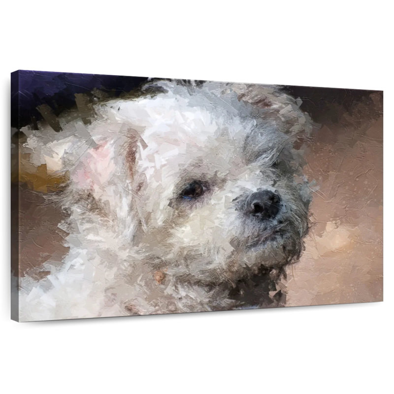 Brampt Maltese, 16" H x 24" W