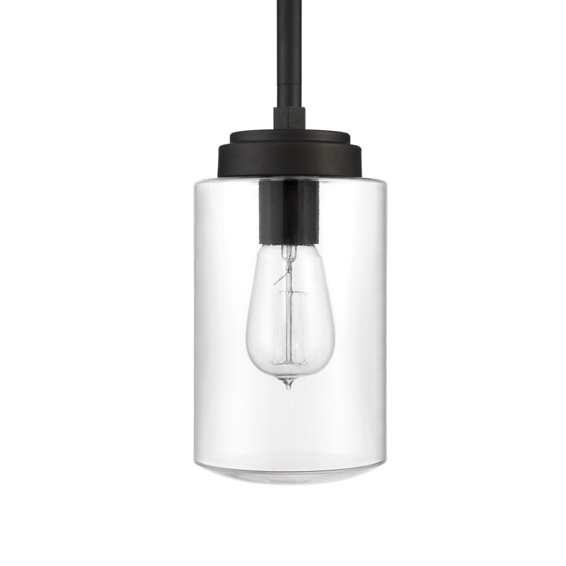 Rojas Outdoor Hanging Lantern
