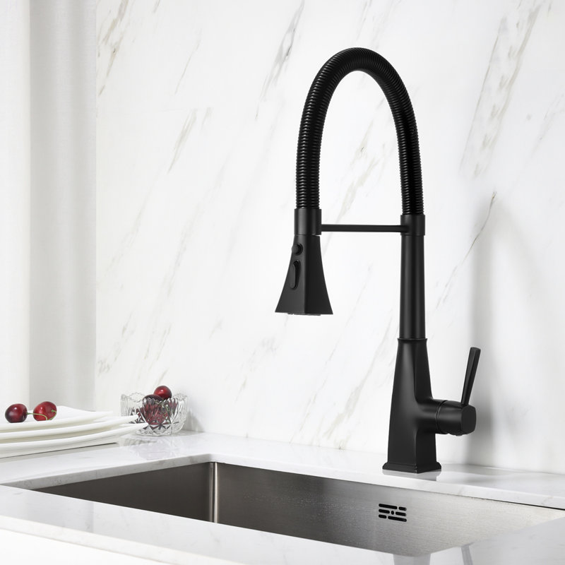 Kitchen Faucet With Pull Down Sprayer