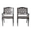 Chaise avec accoudoirs PHOENIX (ensemble de 2)