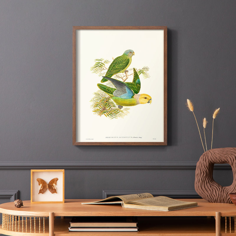 Lime & Cerulean Parrots I Framed Print - Solid Wood, Brown Single Picture Framed, 28" H x 22" W