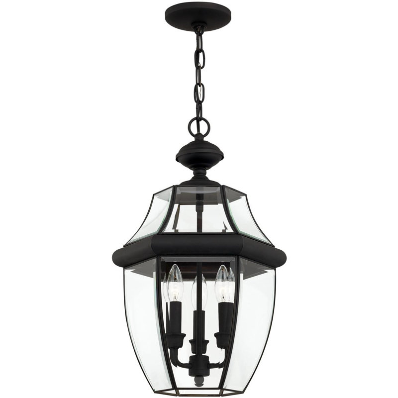 Outdoor Pendant Lighting Fixture with Clear Glass Shade, Black