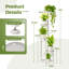 Plant Stand-1255927810