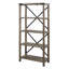 Larenda 64" H x 30" W Etagere 4-Shelf Bookcase-974958024