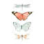 «Summer Butterflies I», peinture sur toile-1659120178