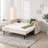 Upholstered Daybed with Trundle,USB Port ,Side Pockets, Modern V-grained backrest Design-1959751829