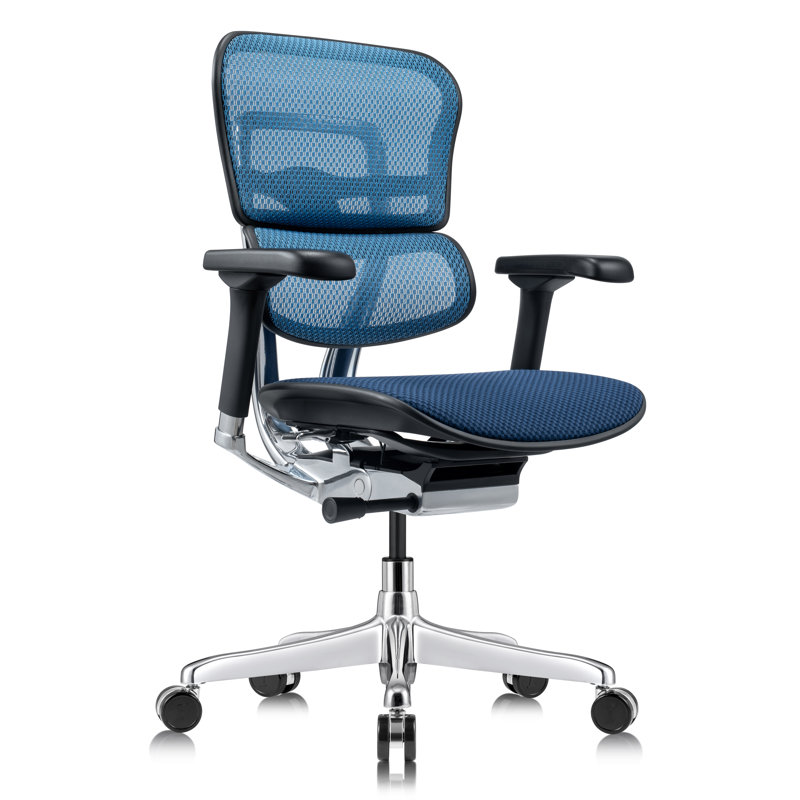 Fauteuil de bureau ergonomique Tempur-Pedic Ergohuman Gen2, Bleu