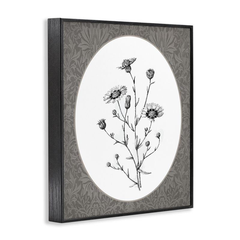 Paquet de marguerites sauvages, estampe numérique encadrée, Giclée encadrée noir minuit, H 14 po x l 11 po