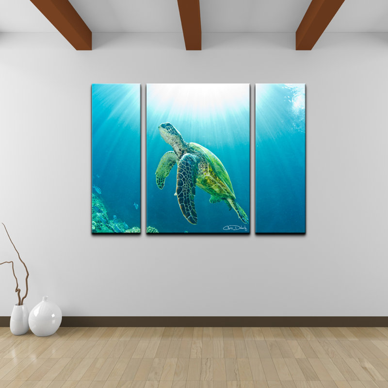 3 - Piece Canvas Art