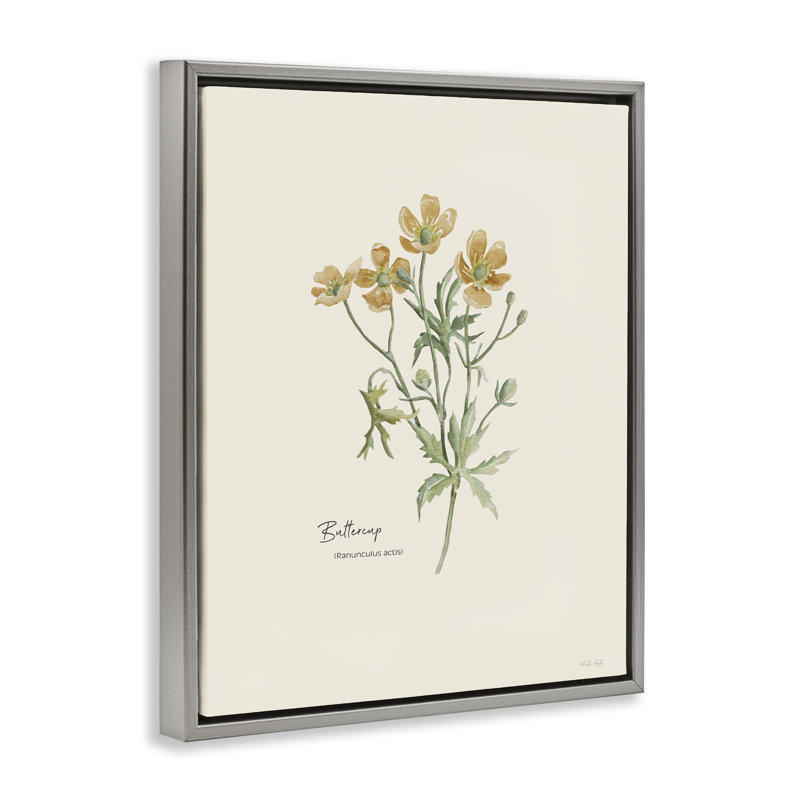 «Simple Buttercup Flowers» par Cindy Jacobs, Cadre flottant gris lustré, H 21 po x l 17 po