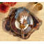 Fossil Placemat