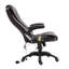Mannion Executive Chair with Headrest-32316781