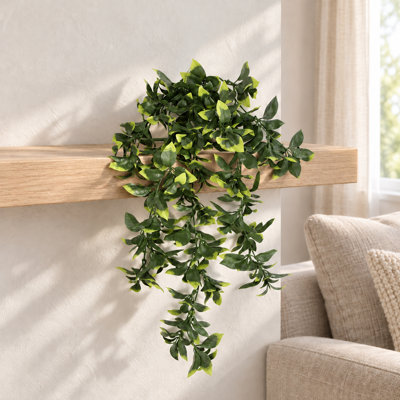 Artificial Hanging Plants Fire / UV Resistant 71 cm H Faux Fern Plant