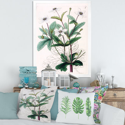 «Vintage Plant Life XXI», peinture sur toile