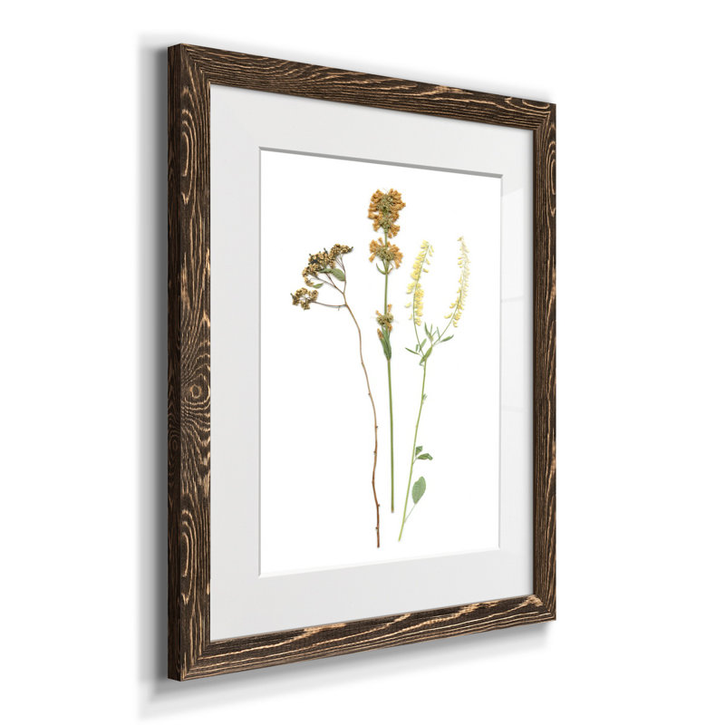Pressed Botanical III - Cadre photo, reproduction d'art sur papier, H 20 po x l 17 po x P 1,5 po, Noyer