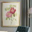 «Dusty Rose II», peinture sur toile encadrée-198717679-198717672