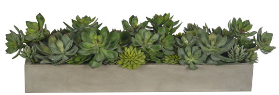 Succulent, Green, Planter Concrete Finish, 39wx14dx9h