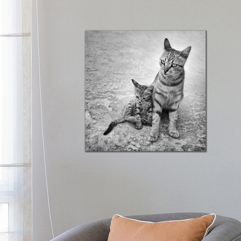 Never Leave Me Alone by Ben Heine - Print on Canvas, Wrapped Canvas, 66.04 cm H x 66.04 cm W x 1.91 cm D