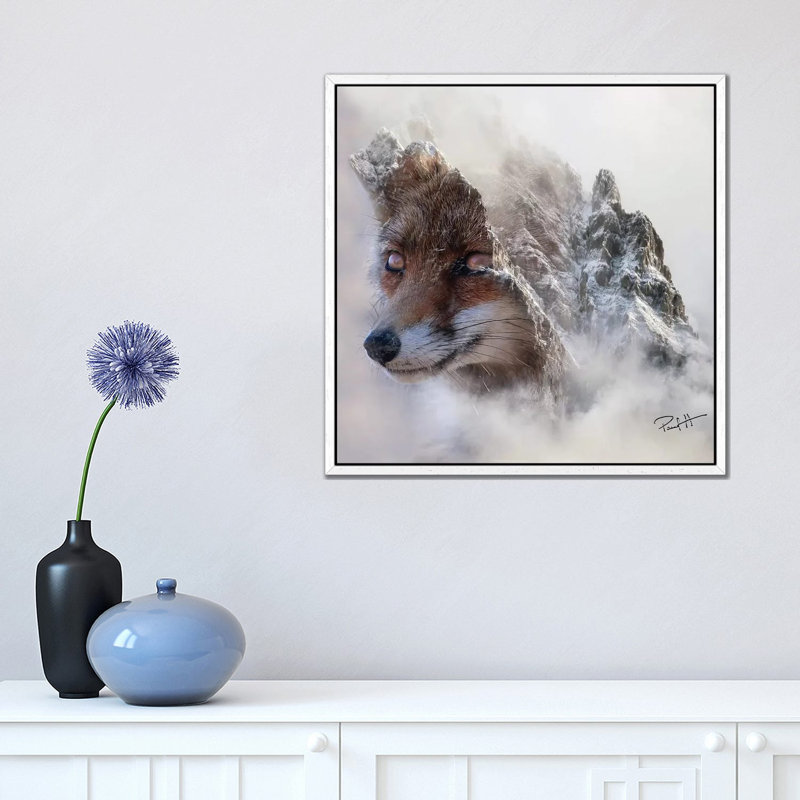Mountain Fox by Paul Haag - Print on Canvas, White Framed, 45.72 cm H x 45.72 cm W