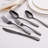 20 Pc Flatware Set Black with Colorblock Handles