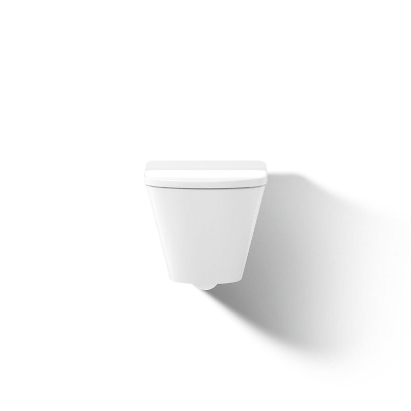 Brazn Wall-Hung Round-Front Toilet Dual-Flush