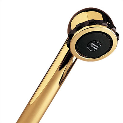 Hand-held Shower