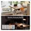 Adjustable Metal Base Standing Desk-767009818