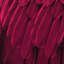 «Feathered Friend in Magenta», reproduction de photo sur toile-20939438