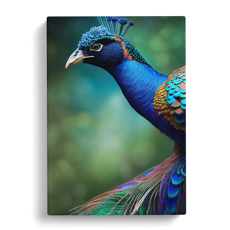 Captivating Peacock - Wrapped Canvas, 50cm H x 35cm W